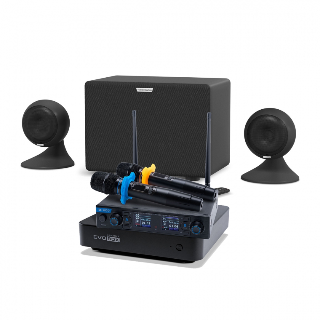 караоке-комплект EVOBOX + EvoSound Sphere 2.1 в Канаше