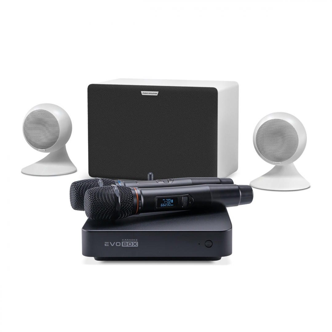 караоке-комплект EVOBOX Classic + EvoSound Sphere 2.1 в Канаше