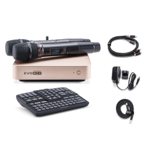 EVOBOX Classic караоке-система для дома в Канаше