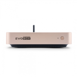 EVOBOX Plus караоке-система для дома в Канаше