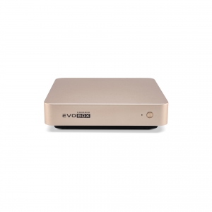 EVOBOX с микрофонами в Канаше